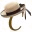 canotier.wordpress.com