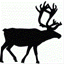 myscandi.pl