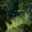 methimpikehoses.wordpress.com
