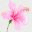 neem1.info