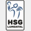 hsg-lumdatal.de