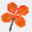 clover8787.com