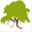 acctexas.org