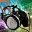 dancingtrancing.wordpress.com