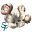 myranoel.com