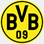 bvb1909.pl