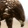 basedonme.wordpress.com