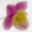 animacorpo.ch