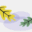 biomaspallars.com