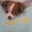 hugmeknuckles.wordpress.com