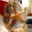 mybusynothings.wordpress.com