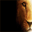 lpmfutures.com