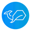 bluewhaleventures.com