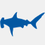 sharkis.org