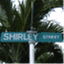 shirleywriting.wordpress.com