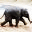 orchifant.de