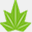 the-maple.jp