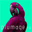 plumage.io