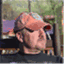 tcarpenter3.wordpress.com