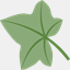 ivytalk.com