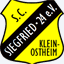 scsiegfried.de