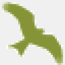 heartrhythmireland.com