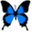 demandinharmony.com
