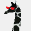 sublimezoo.com