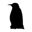 penguinvids.com