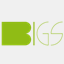 bigtechserv.com