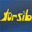 tursib.ro