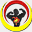 fibertorch.com