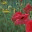 lamedefond.wordpress.com
