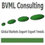bvmlconsulting.com