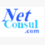 netconsul.com