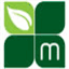 mazzaestudio.com