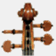 zingzingleviolon.com