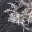 deceivedblog.wordpress.com