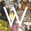 diannawoolley.com