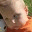 helpfrancosee.wordpress.com