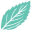mintpolish.com