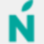 newtonsoft.co.uk