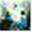 phyllo.net