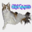chipirlipopette.over-blog.com