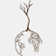 roots-up.org