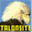 talonsite.com