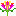 pidyon.net