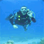 ecolint.diving.over-blog.com