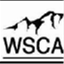 wscanews.org