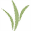 odinmp.org